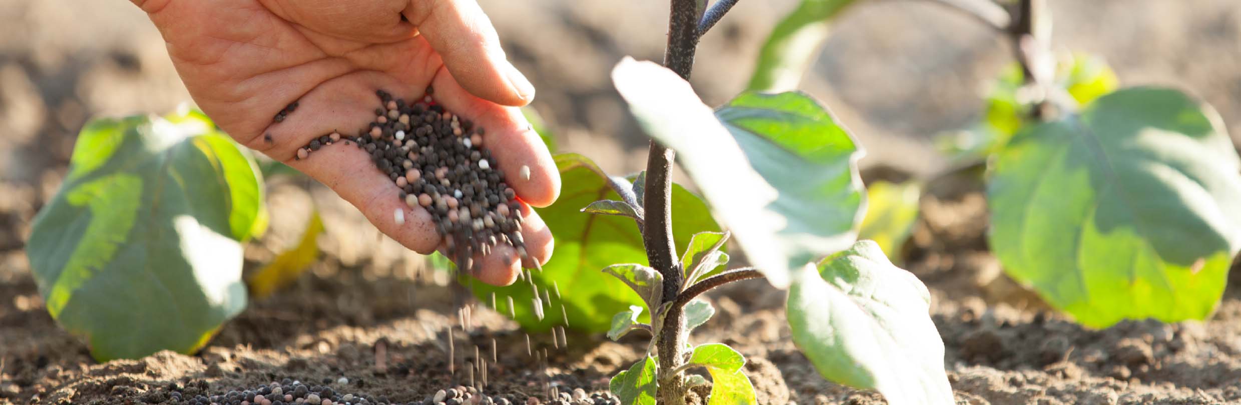 produk Pupuk Organik & Pupuk Hayati