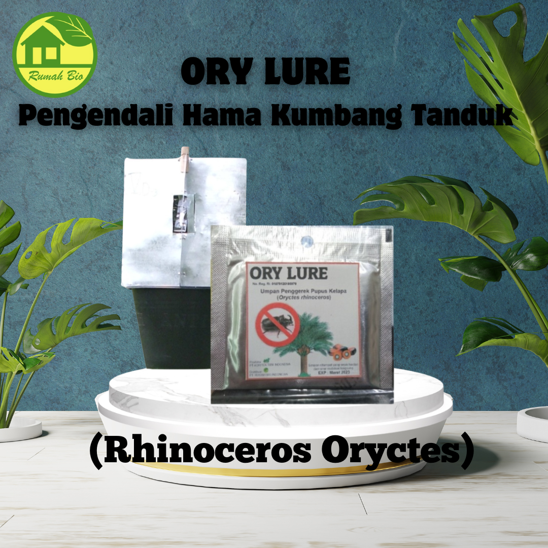 ORY LURE